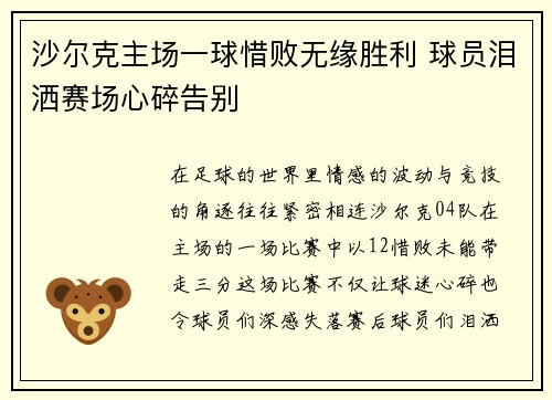 沙尔克主场一球惜败无缘胜利 球员泪洒赛场心碎告别